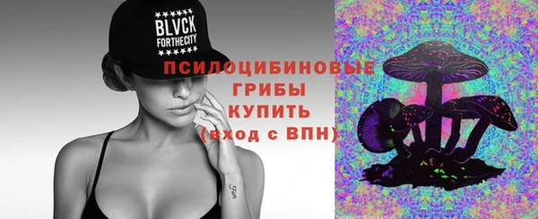 мяу мяу мука Кулебаки