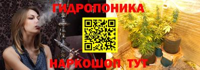 индика Кинель
