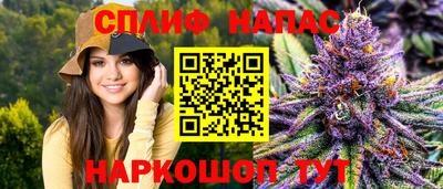 индика Кинель