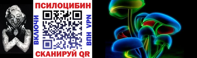 кракен как зайти  Челябинск  Галлюциногенные грибы Cubensis 