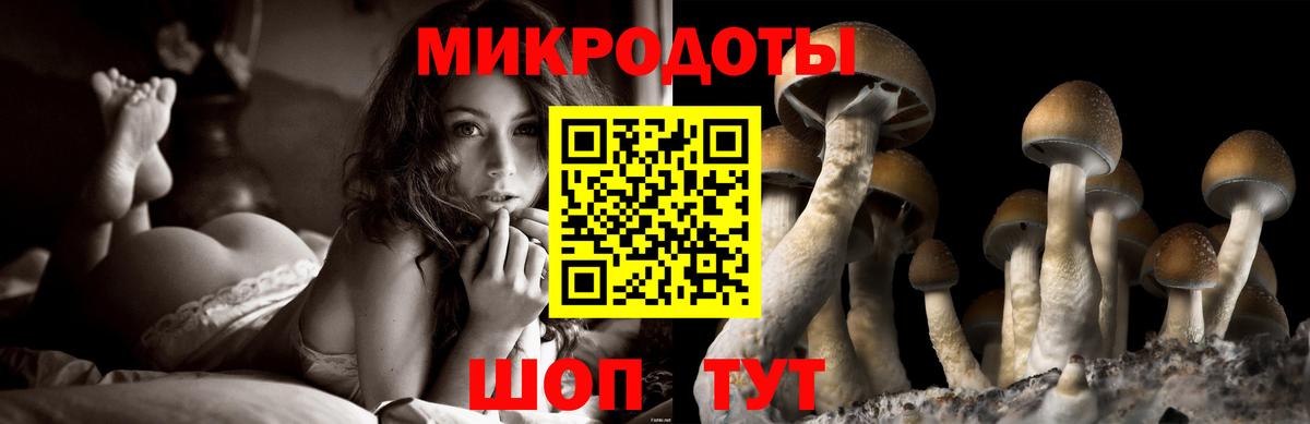 Галлюциногенные грибы MAGIC MUSHROOMS  Вход с VPN  Челябинск 